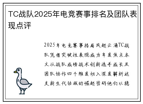 TC战队2025年电竞赛事排名及团队表现点评